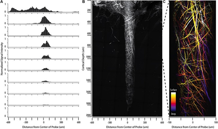 FIGURE 3