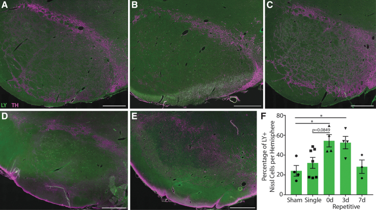 FIG. 4.