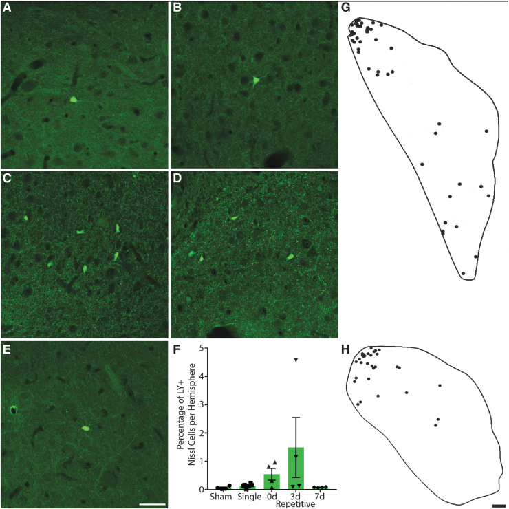 FIG. 3.