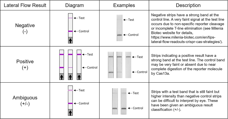 Supplementary Figure S1