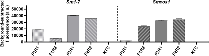 Supplementary Figure S5