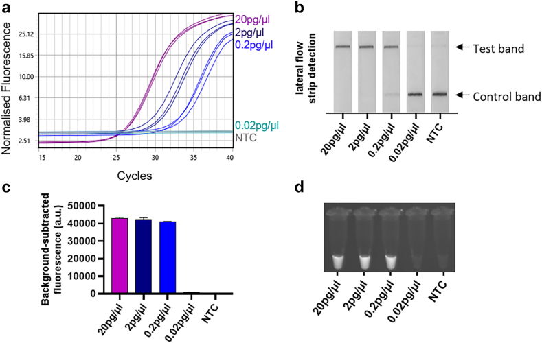 Fig. 2