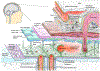 Fig. 2 |