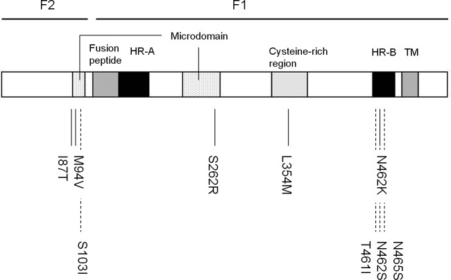 Fig 2