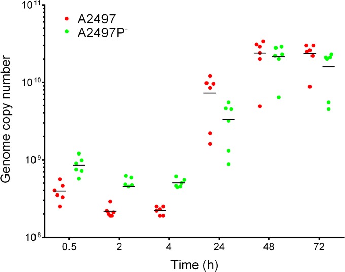 FIG 2