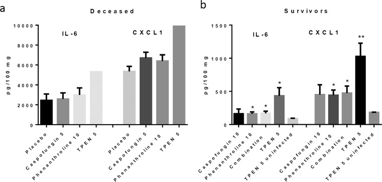 FIG 6