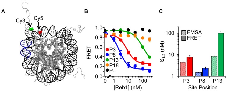 Figure 2.