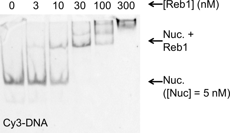 Figure 1—figure supplement 2.