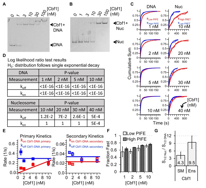 Figure 5—figure supplement 1.