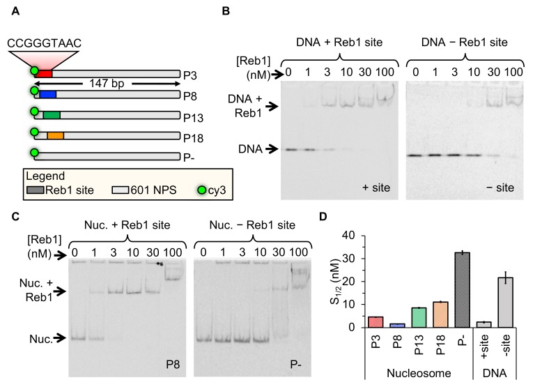 Figure 1.