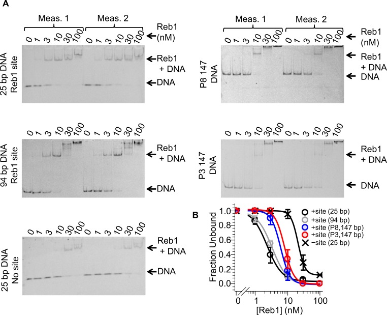 Figure 1—figure supplement 5.