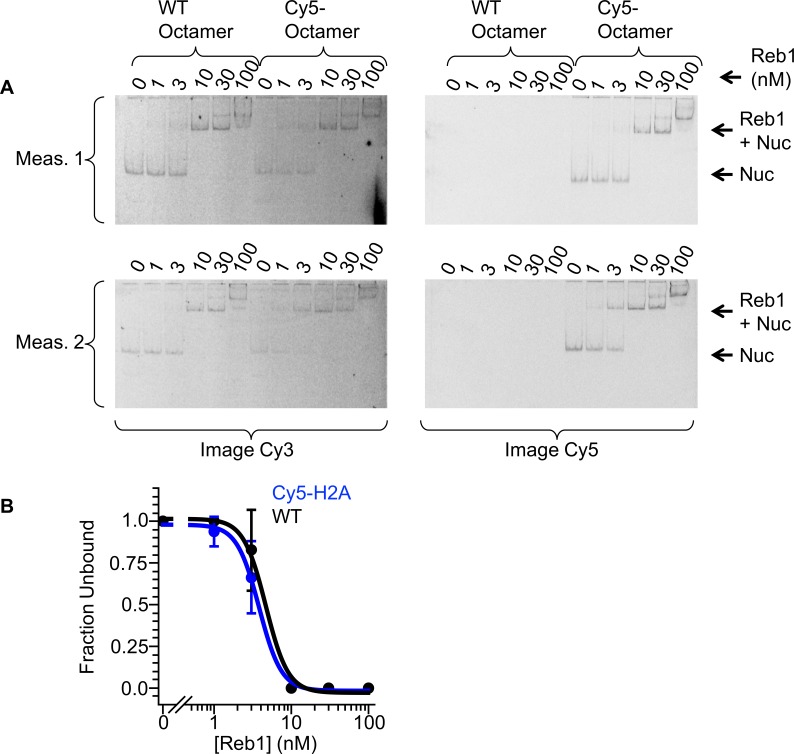 Figure 1—figure supplement 6.