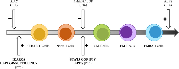 Figure 5