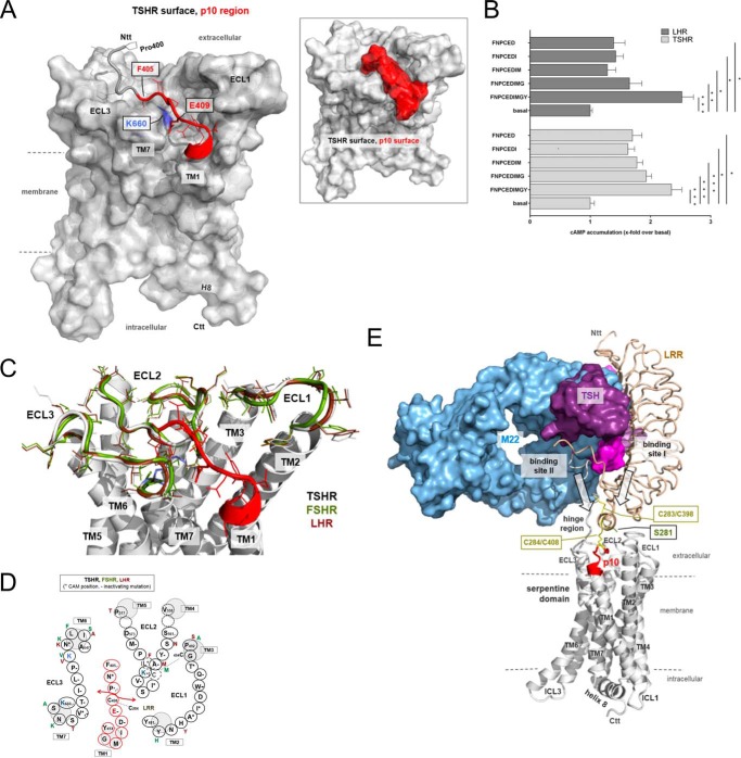 FIGURE 10.