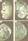 FIG. 8