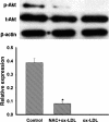 FIG. 9.
