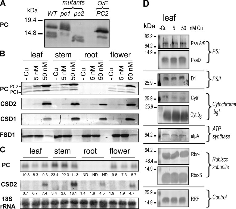 FIGURE 4.