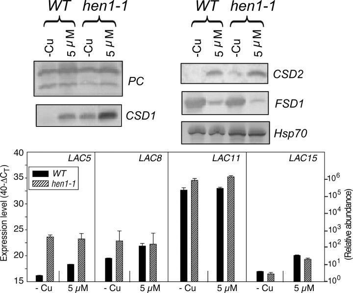 FIGURE 10.