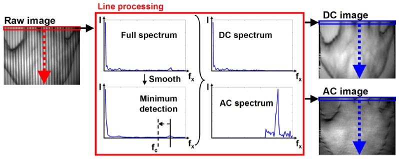 Fig. 2