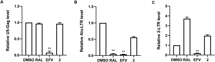 Figure 6