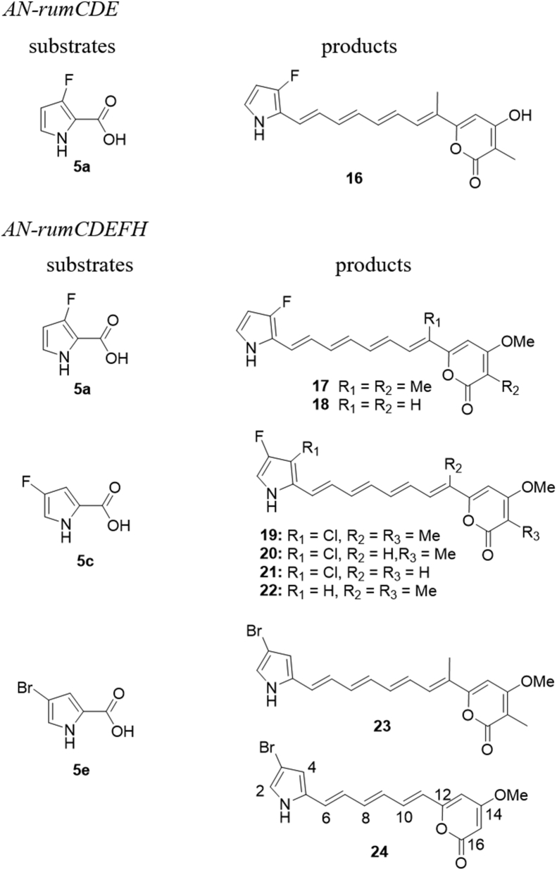 Figure 4