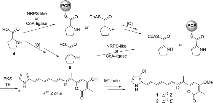 Figure 2