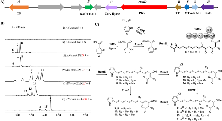 Figure 3