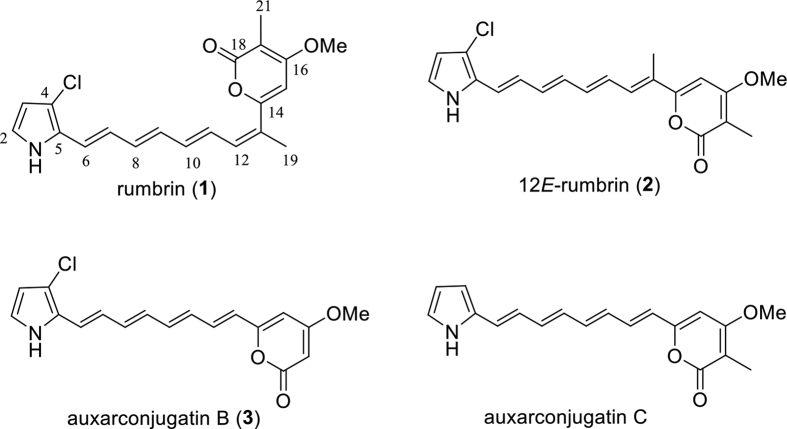 Figure 1