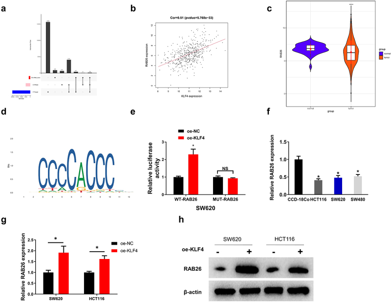 Figure 6.