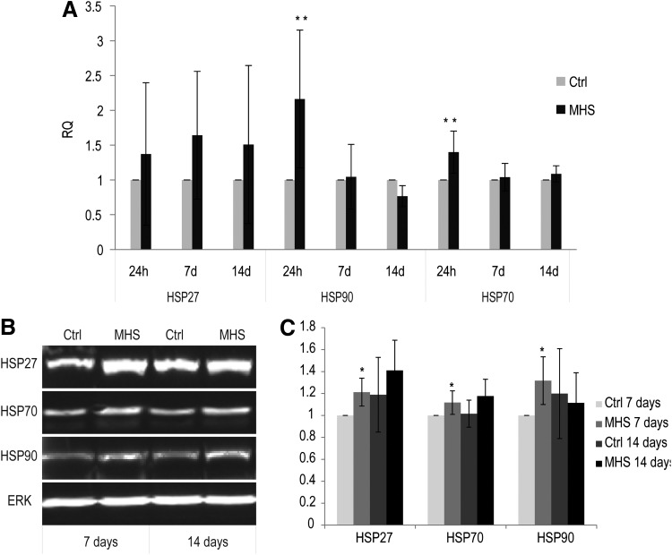 FIG. 6.