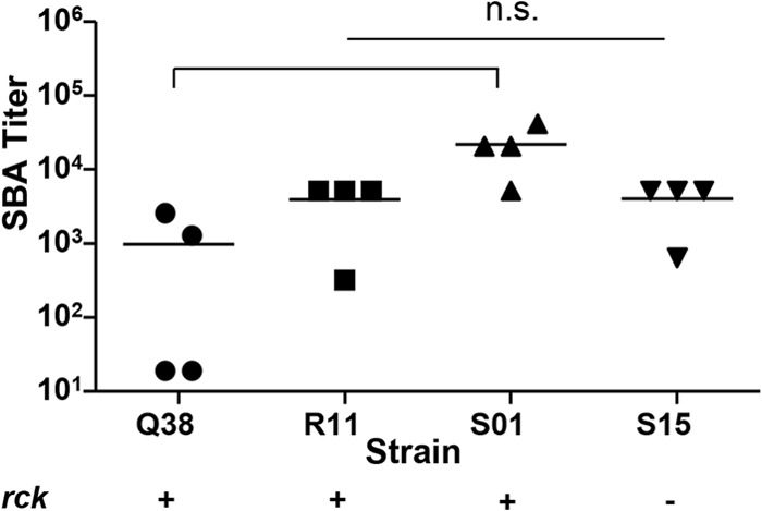 FIG 5