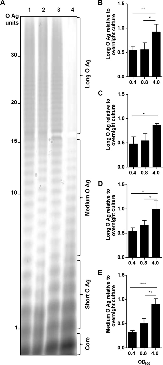 FIG 4