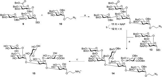 Scheme 2