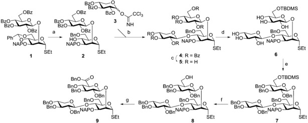 Scheme 1