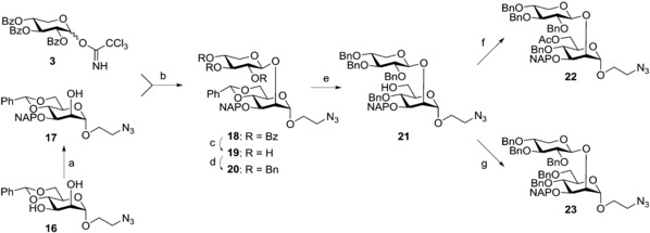 Scheme 3