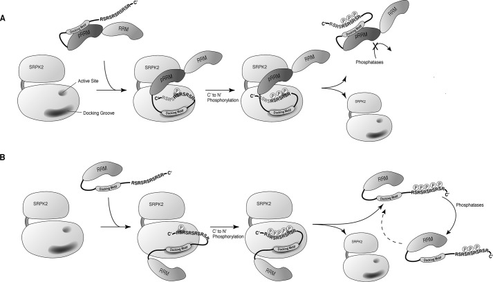 Figure 10.