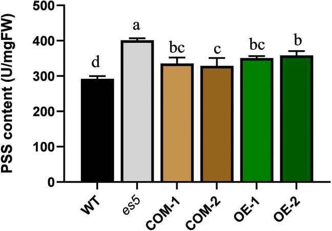 Fig. 7