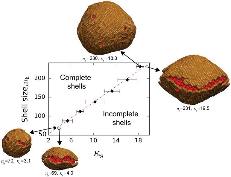 Fig 6