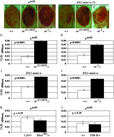 Figure 6.—