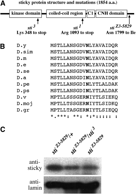 Figure 2.—