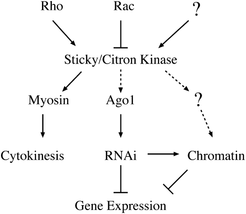 Figure 10.—