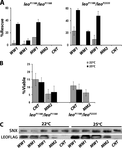 FIGURE 4.