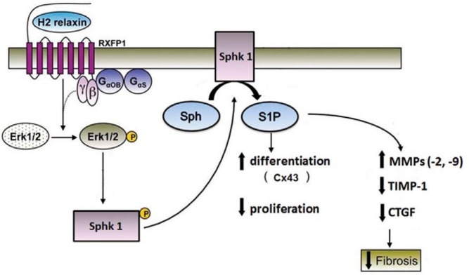 Figure 10.