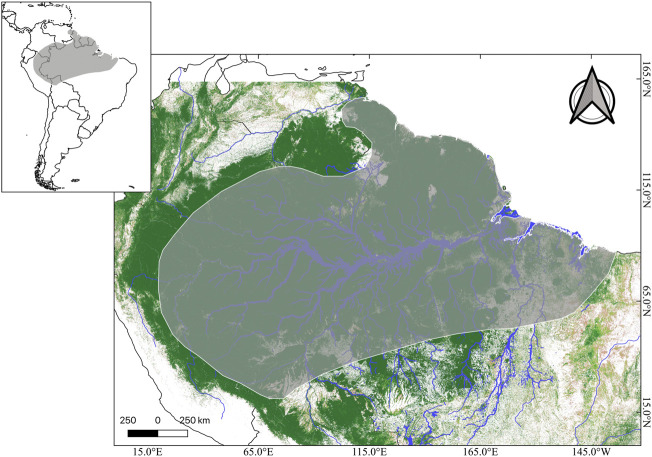 FIGURE 3