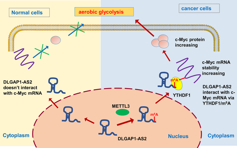 Figure 7.