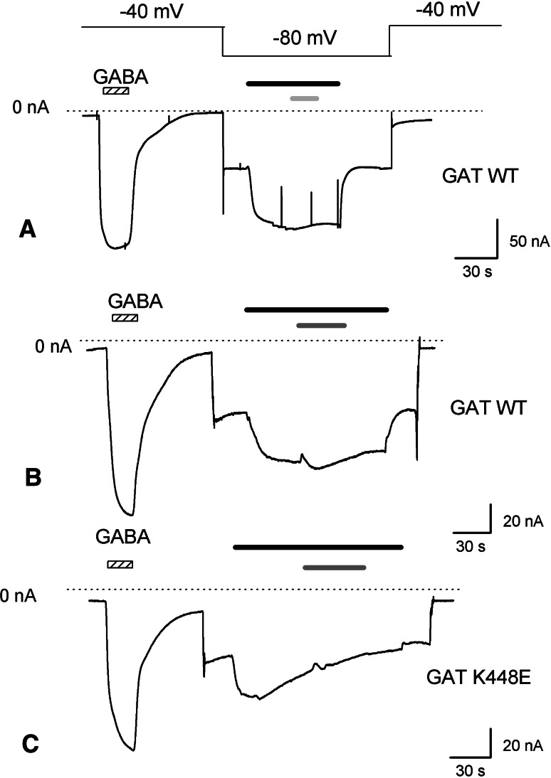 Fig. 6