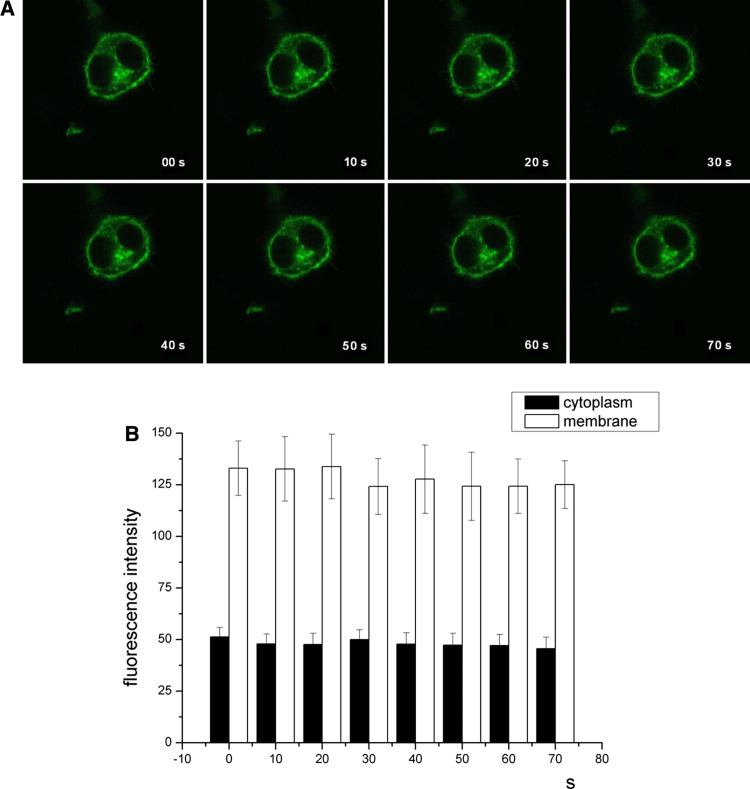 Fig. 2