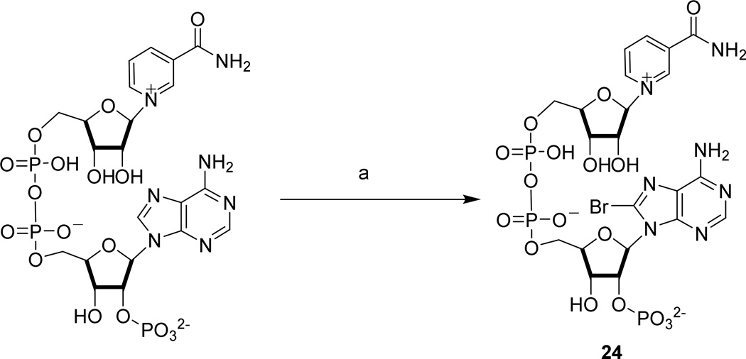 Scheme 6