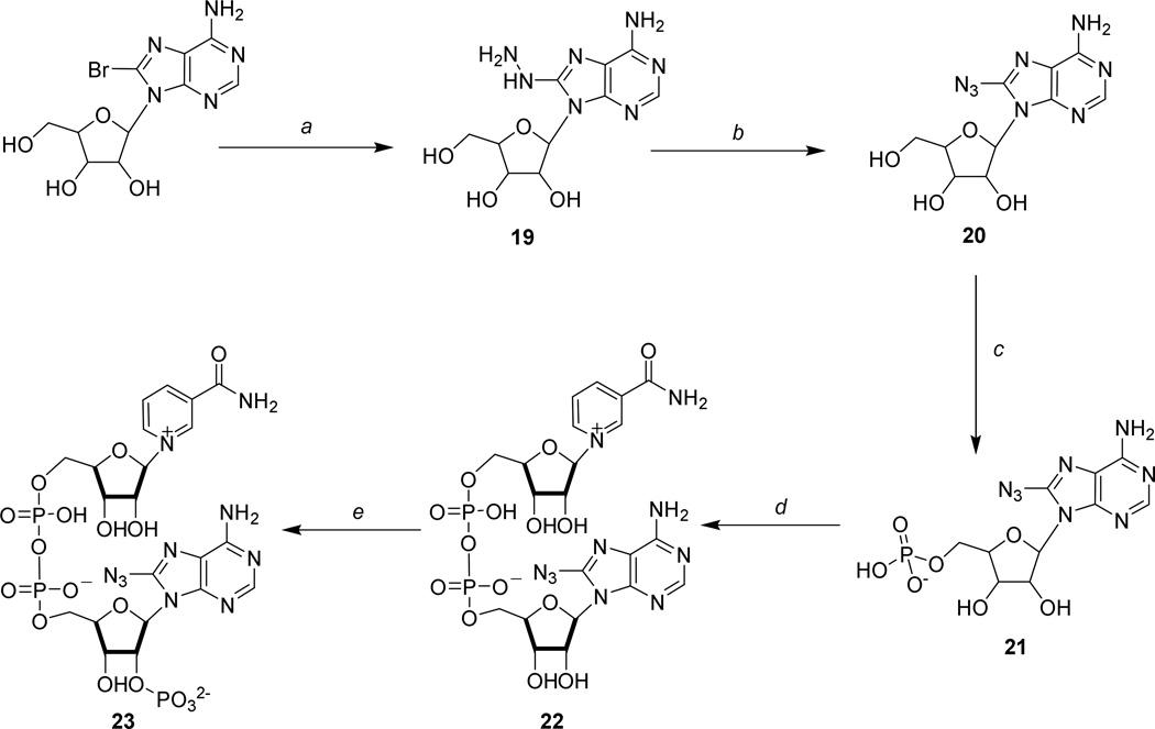 Scheme 5