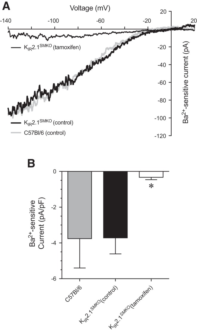 Fig. 9.